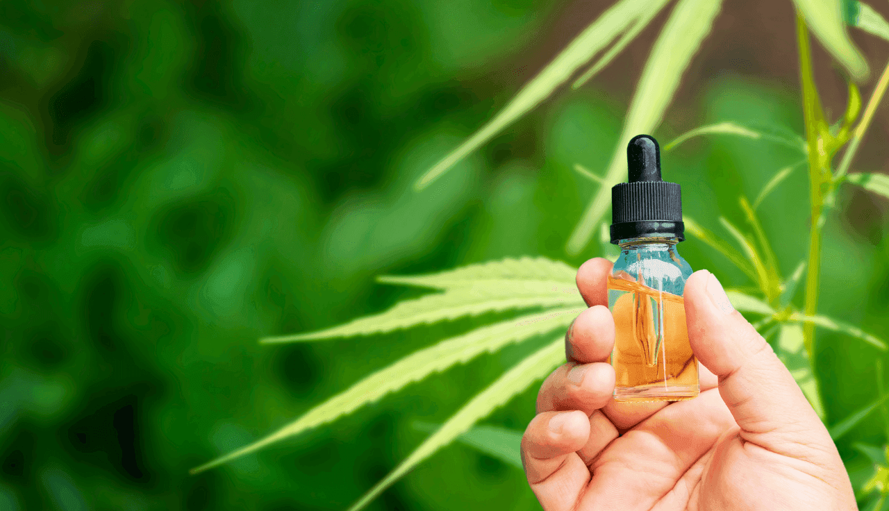 Hand hält Extrakt vor Cannabis Pflanze