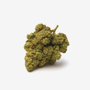 Nimbus easy 26/1 French Cookies