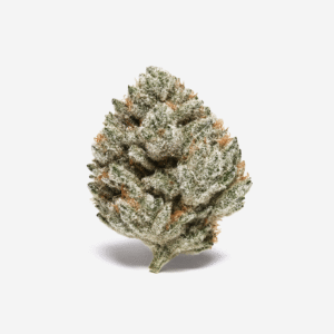 Canify 28/1 CSF Ku. Solpina Magic