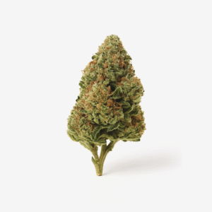 Cannamedical Hybrid ultimate SF Afghan Bubba Kush