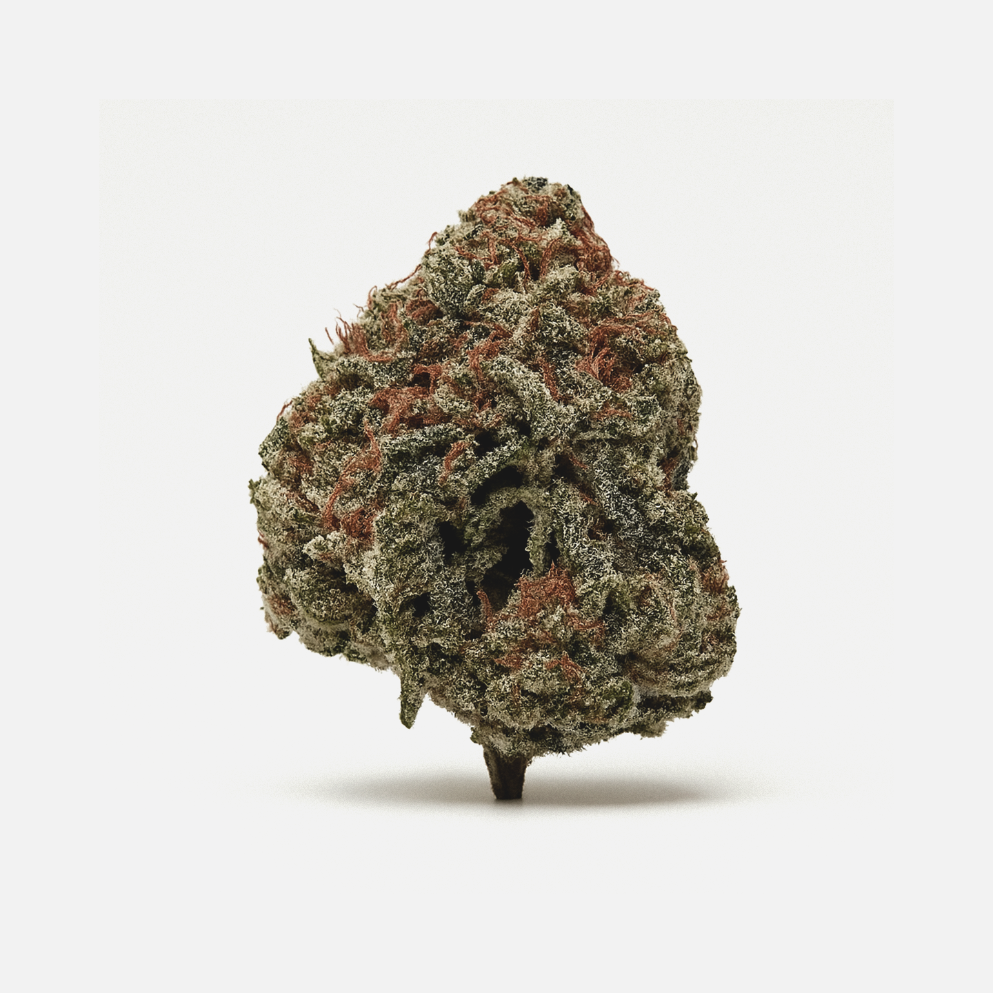 Cannamedical Sativa Ultra NM Polar Cookies