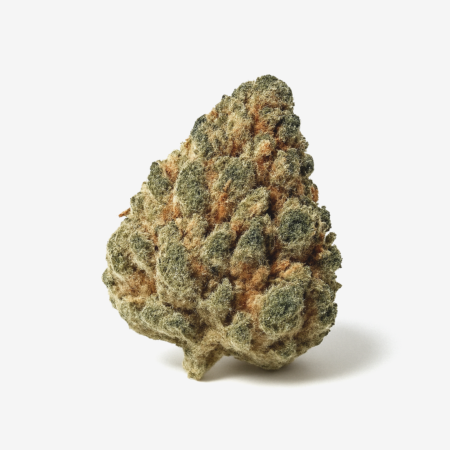Cannamedical Hybrid Forte 24/1 NM Gorilla Zkittlez