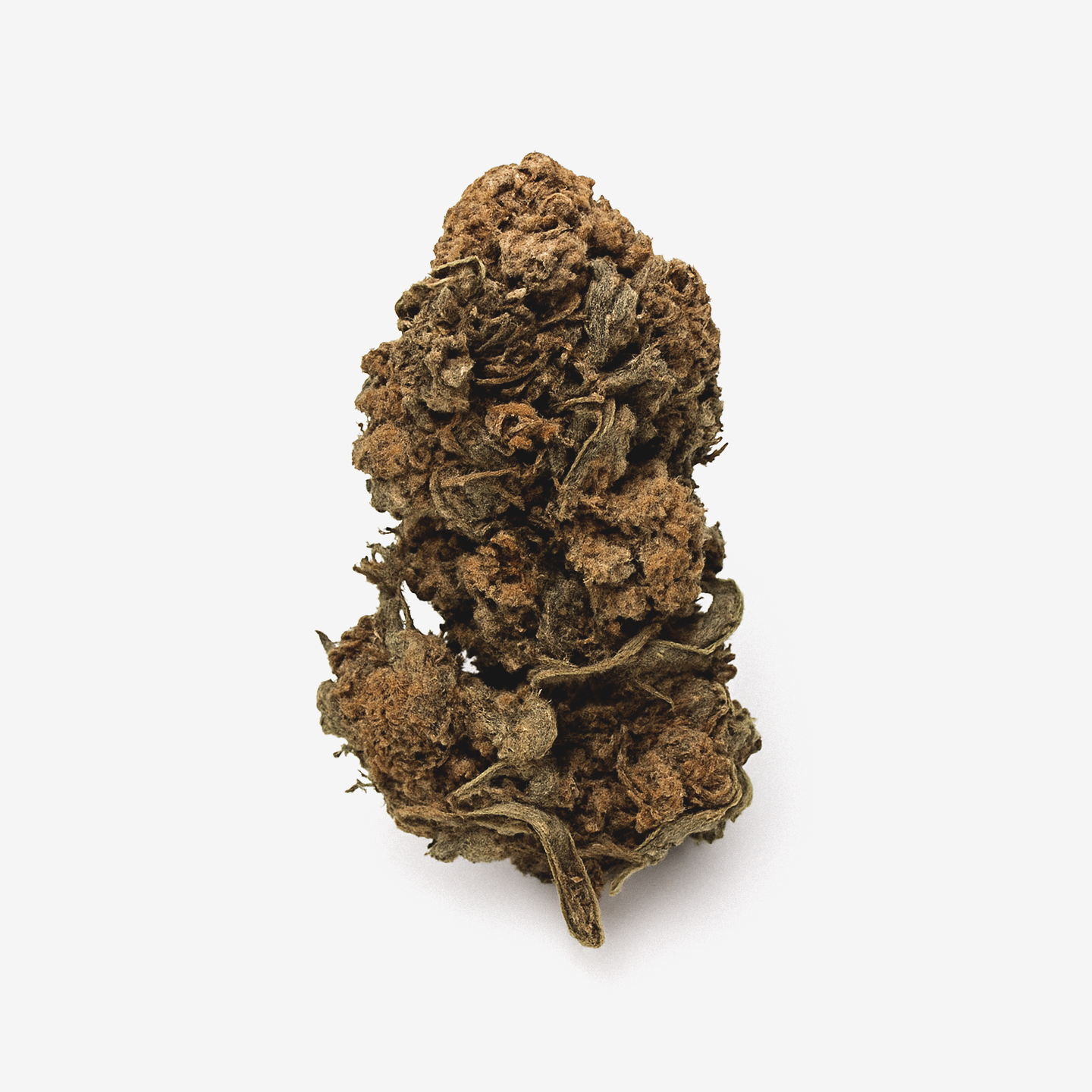 Cannamedical Hybrid Forte DK 22/1 Ghost Train Haze