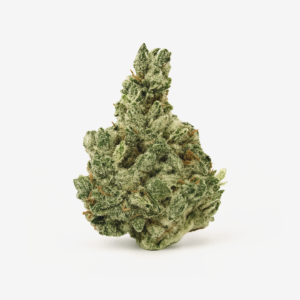Cannamedical Sativa forte NM Amsterdam Amnesia 26/1