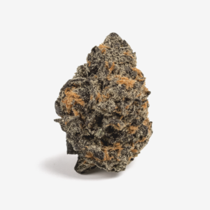 Cannamedical Ghost Train Haze 24/1