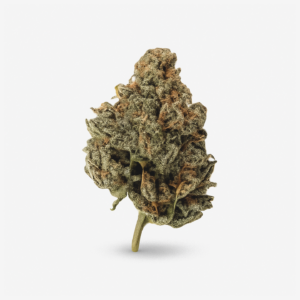 Enua 25/1 CBC CA Citron Biker Cookies