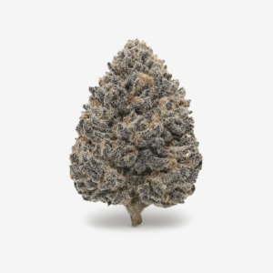 Daily Special 25/1 FUN – Funky Berry