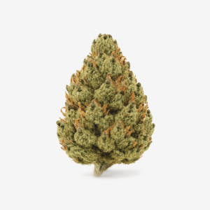 HiDealz 24/1 MS PIK-Pink Kush